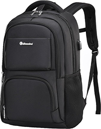 Laptop Backpack with USB Port (Larger)